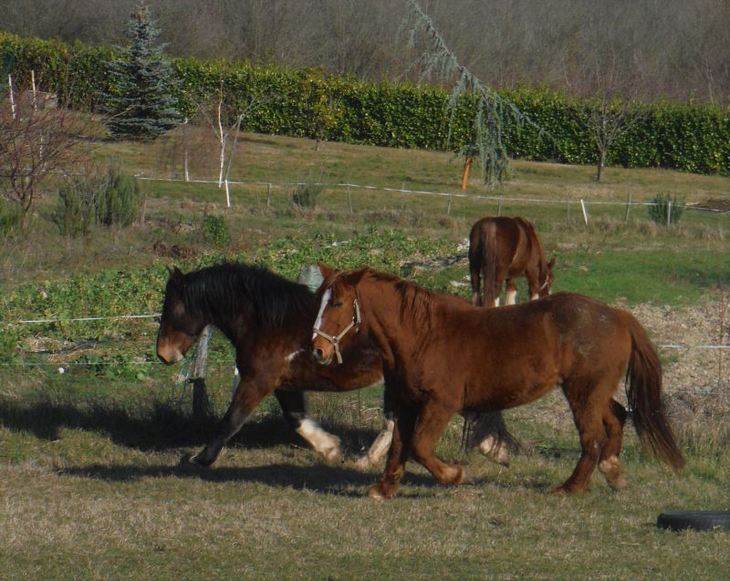 foto 18 Mietobjekt von Privatpersonen Montlimar gite Rhne-Alpes Drme