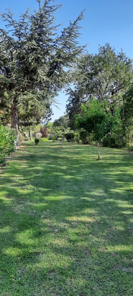 foto 11 Mietobjekt von Privatpersonen Carpentras gite Provence-Alpes-Cte d'Azur Vaucluse Garten