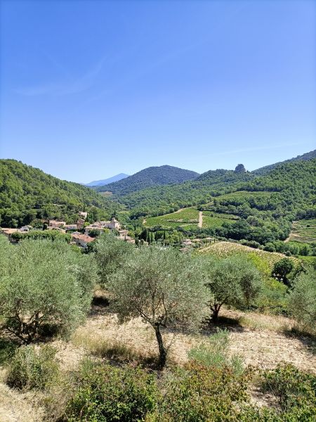 foto 28 Mietobjekt von Privatpersonen Carpentras gite Provence-Alpes-Cte d'Azur Vaucluse