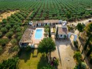 Ferienunterknfte Trapani (+Umland): villa Nr. 123590