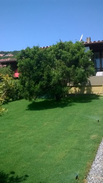 foto 10 Mietobjekt von Privatpersonen Costa Rei appartement Sardinien Cagliari (+Umland) Garten