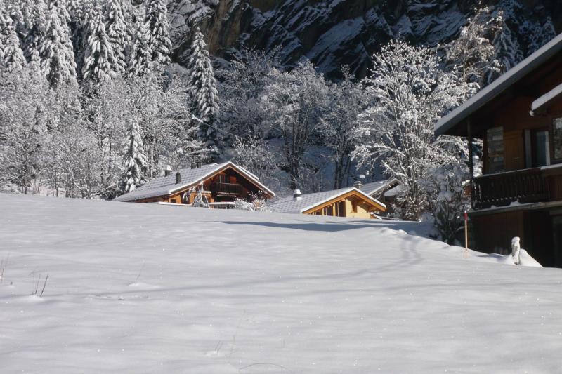 foto 2 Mietobjekt von Privatpersonen Pralognan la Vanoise chalet Rhne-Alpes Savoyen Ansicht des Objektes