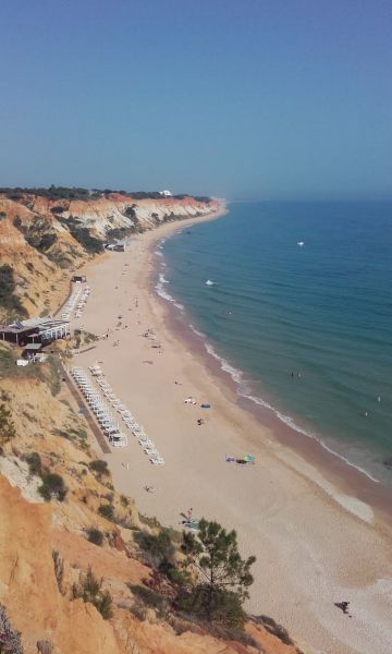 foto 16 Mietobjekt von Privatpersonen Olhos de Agua appartement Algarve  Strand