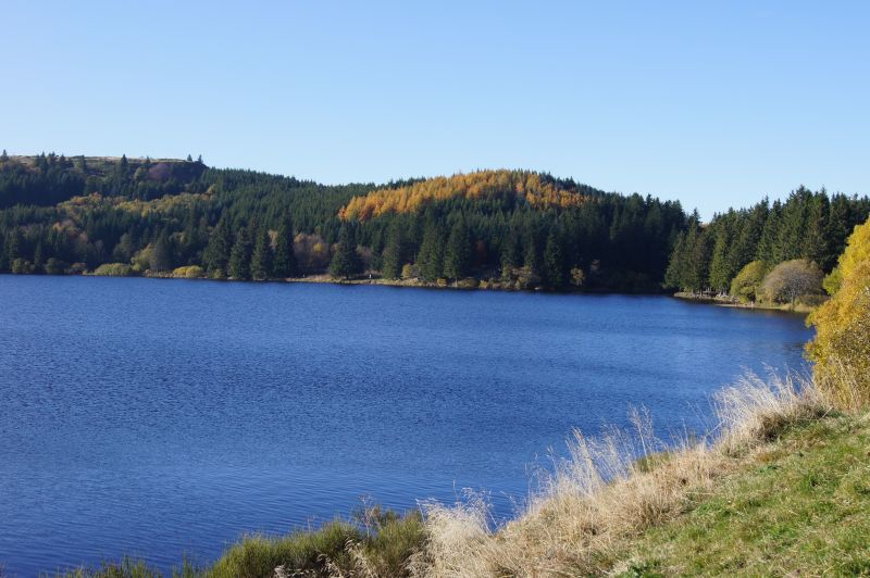 foto 20 Mietobjekt von Privatpersonen Le Mont Dore appartement Auvergne Puy-de-Dme