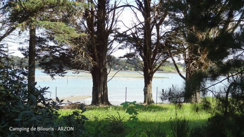 foto 7 Mietobjekt von Privatpersonen Arzon mobilhome Bretagne Morbihan Ausblick von der Terrasse