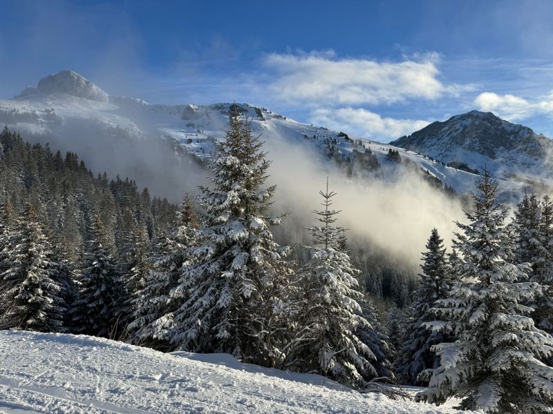 foto 0 Mietobjekt von Privatpersonen Thollon Les Mmises appartement Rhne-Alpes Haute-Savoie andere