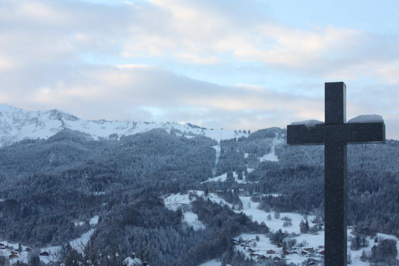 foto 23 Mietobjekt von Privatpersonen Samons chalet Rhne-Alpes Haute-Savoie Nahaufnahme