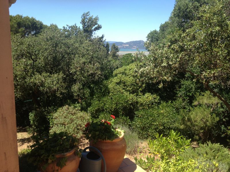 foto 12 Mietobjekt von Privatpersonen Giens villa Provence-Alpes-Cte d'Azur Var Garten