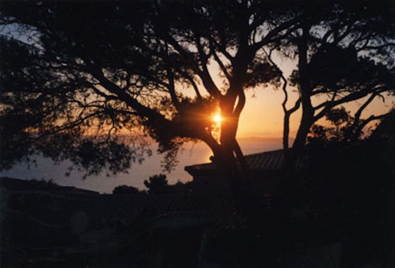 foto 21 Mietobjekt von Privatpersonen Giens villa Provence-Alpes-Cte d'Azur Var Ausblick von der Terrasse