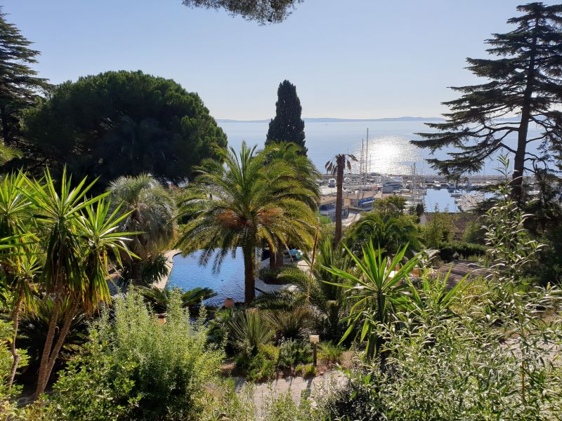 foto 5 Mietobjekt von Privatpersonen Le Lavandou villa Provence-Alpes-Cte d'Azur Var Garten
