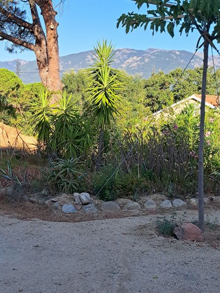 foto 18 Mietobjekt von Privatpersonen Porto Vecchio appartement Korsika Corse du Sud