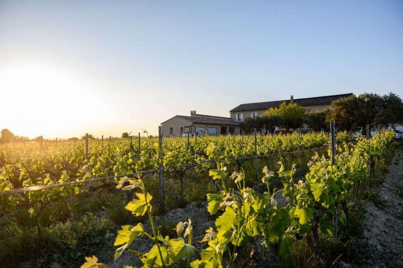 foto 0 Mietobjekt von Privatpersonen Vacqueyras gite Provence-Alpes-Cte d'Azur Vaucluse Ansicht des Objektes