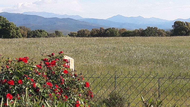 foto 11 Mietobjekt von Privatpersonen Ghisonaccia maison   Ausblick aus der Ferienunterkunft