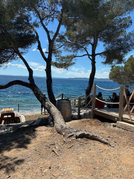 foto 6 Mietobjekt von Privatpersonen Saint Raphael bungalow Provence-Alpes-Cte d'Azur Var Nahaufnahme