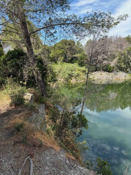 foto 15 Mietobjekt von Privatpersonen Saint Raphael bungalow Provence-Alpes-Cte d'Azur Var Nahaufnahme