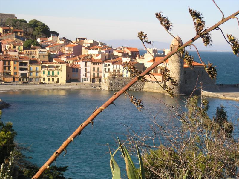 foto 0 Mietobjekt von Privatpersonen Collioure studio Languedoc-Roussillon Pyrenen (Mittelmeer)