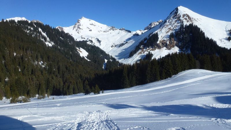 foto 16 Mietobjekt von Privatpersonen Praz de Lys Sommand chalet Rhne-Alpes Haute-Savoie Ausblick aus der Ferienunterkunft