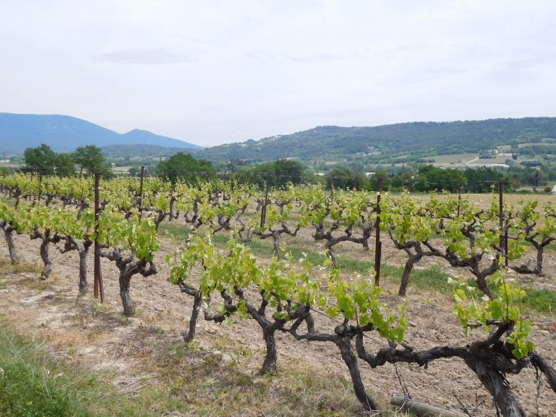 foto 15 Mietobjekt von Privatpersonen Apt villa Provence-Alpes-Cte d'Azur Vaucluse Ausblick aus der Ferienunterkunft