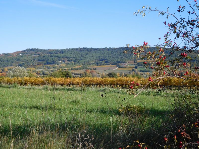 foto 25 Mietobjekt von Privatpersonen Apt villa Provence-Alpes-Cte d'Azur Vaucluse Ausblick aus der Ferienunterkunft