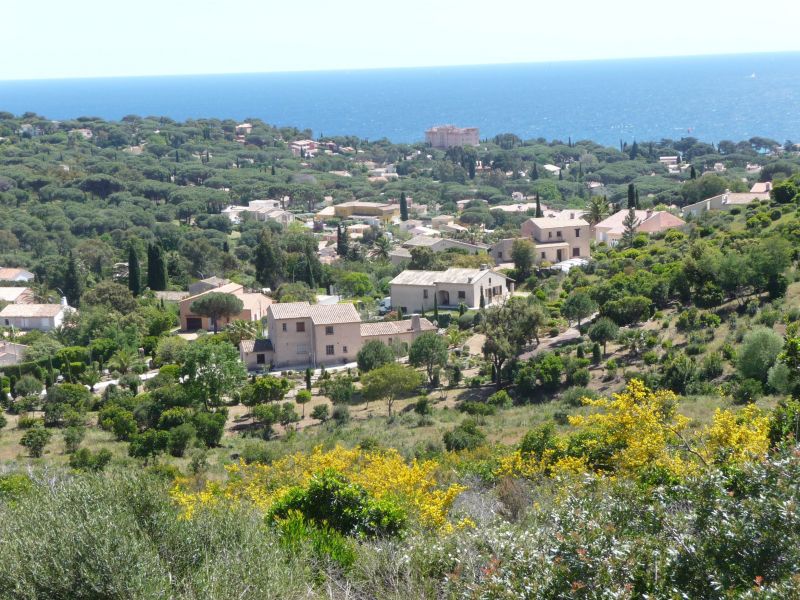 foto 14 Mietobjekt von Privatpersonen Sainte Maxime villa Provence-Alpes-Cte d'Azur Var Ansicht des Objektes