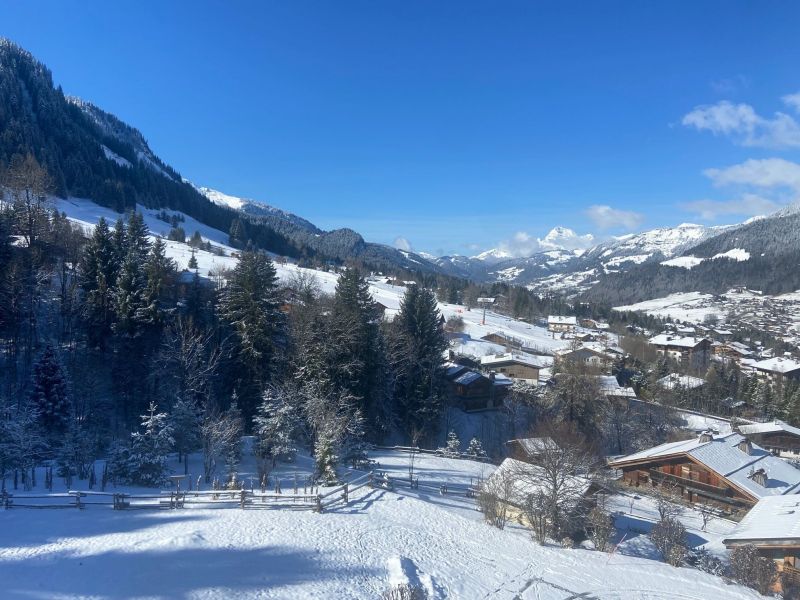 foto 1 Mietobjekt von Privatpersonen Megve appartement Rhne-Alpes Haute-Savoie Ausblick von der Terrasse
