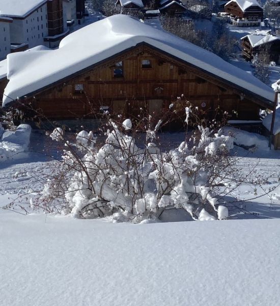 foto 2 Mietobjekt von Privatpersonen Les 2 Alpes chalet Rhne-Alpes Isre