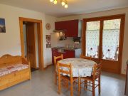 Ferienunterknfte Les Carroz D'Araches: appartement Nr. 129124