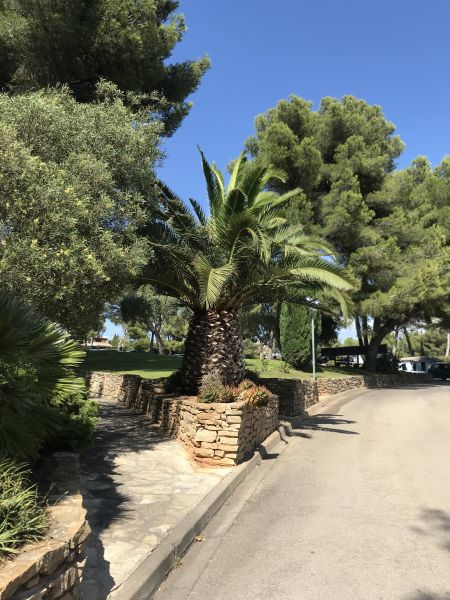 foto 7 Mietobjekt von Privatpersonen Bandol appartement Provence-Alpes-Cte d'Azur Var