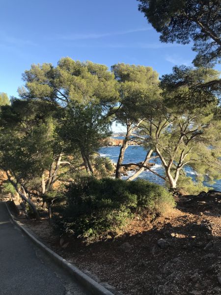 foto 8 Mietobjekt von Privatpersonen Bandol appartement Provence-Alpes-Cte d'Azur Var