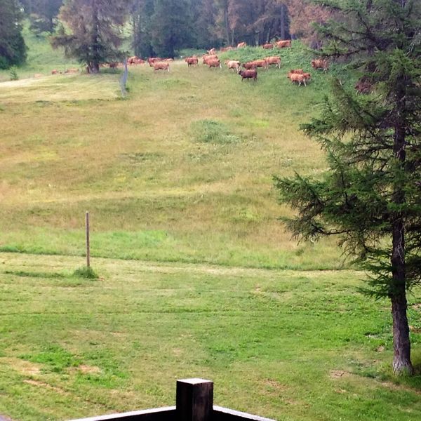 foto 28 Mietobjekt von Privatpersonen Risoul 1850 appartement Provence-Alpes-Cte d'Azur Hautes-Alpes Ausblick vom Balkon