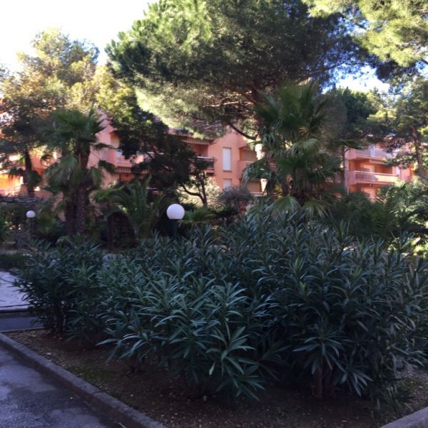 foto 15 Mietobjekt von Privatpersonen Bormes Les Mimosas appartement Provence-Alpes-Cte d'Azur Var Garten