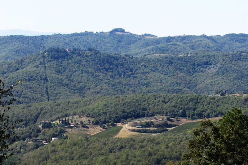 foto 22 Mietobjekt von Privatpersonen Siena gite Toskana Siena (+Umland) Ausblick aus der Ferienunterkunft