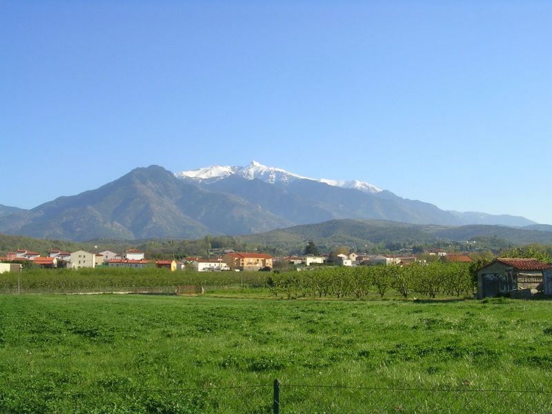 foto 14 Mietobjekt von Privatpersonen Prades maison Languedoc-Roussillon Pyrenen (Mittelmeer)