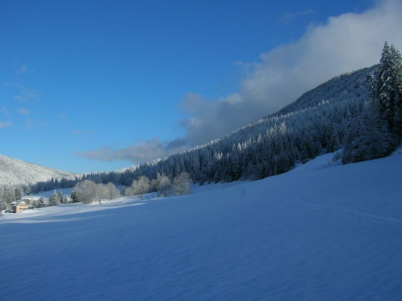 foto 10 Mietobjekt von Privatpersonen Les Rousses appartement Franche-Comt Jura Nahaufnahme