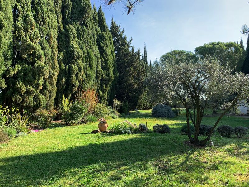 foto 12 Mietobjekt von Privatpersonen Saint Rmy de Provence villa Provence-Alpes-Cte d'Azur Bouches du Rhne Garten