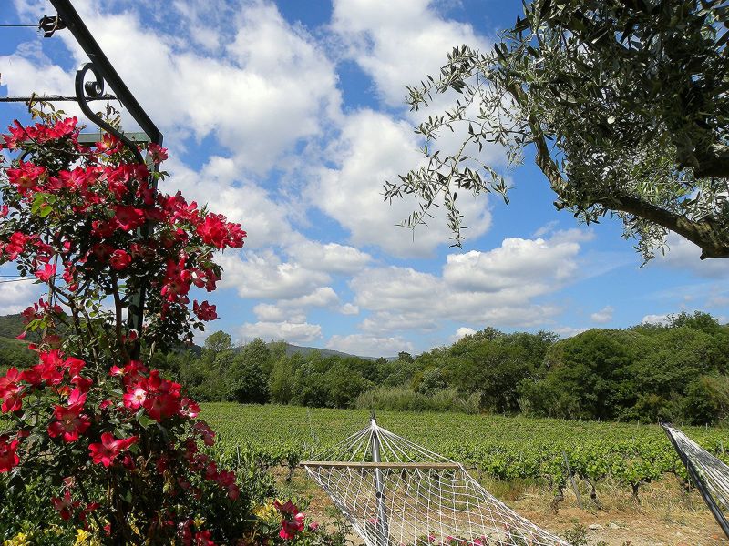 foto 13 Mietobjekt von Privatpersonen Grimaud gite Provence-Alpes-Cte d'Azur Var Terrasse