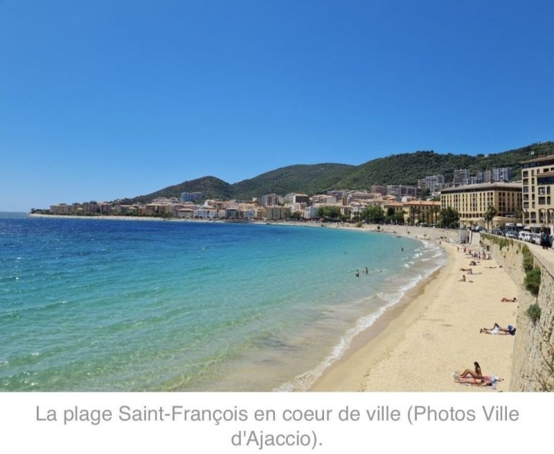 foto 10 Mietobjekt von Privatpersonen Ajaccio appartement Korsika Corse du Sud Strand
