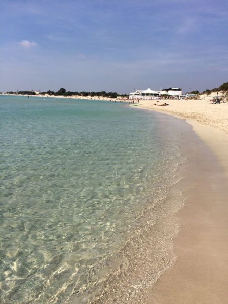 foto 21 Mietobjekt von Privatpersonen Porto Cesareo appartement Apulien Lecce (+Umland) Strand