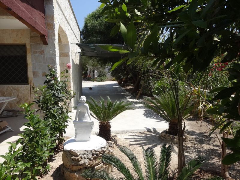 foto 11 Mietobjekt von Privatpersonen Santa Maria di Leuca villa Apulien Lecce (+Umland) Garten