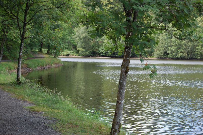 foto 19 Mietobjekt von Privatpersonen Vire gite Basse-Normandie Calva Nahaufnahme