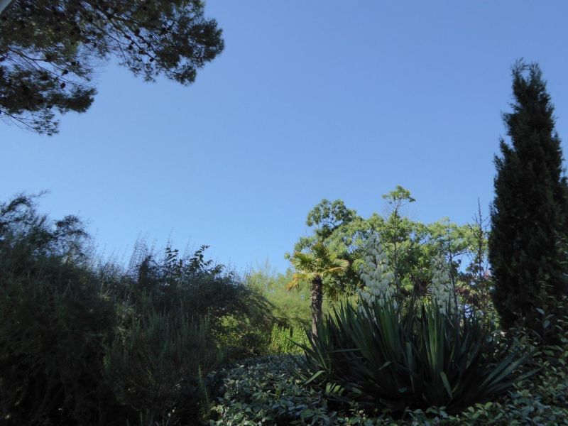 foto 7 Mietobjekt von Privatpersonen Le Bois-Plage-en-R maison Poitou-Charentes Charente-Maritime Ausblick von der Terrasse