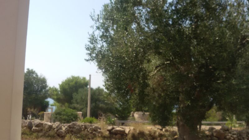 foto 18 Mietobjekt von Privatpersonen Santa Maria di Leuca villa Apulien Lecce (+Umland)