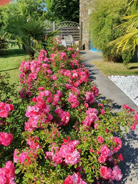 foto 14 Mietobjekt von Privatpersonen Mont Saint Michel gite Basse-Normandie Manche Garten