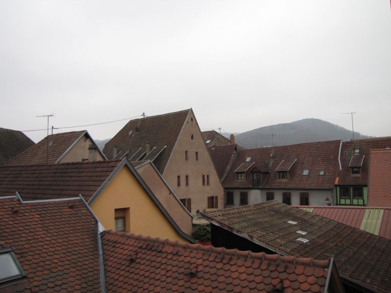 foto 18 Mietobjekt von Privatpersonen Ribeauvill appartement Elsass Oberelsass Ausblick aus der Ferienunterkunft