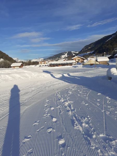 foto 21 Mietobjekt von Privatpersonen Praz sur Arly studio Rhne-Alpes Haute-Savoie Nahaufnahme