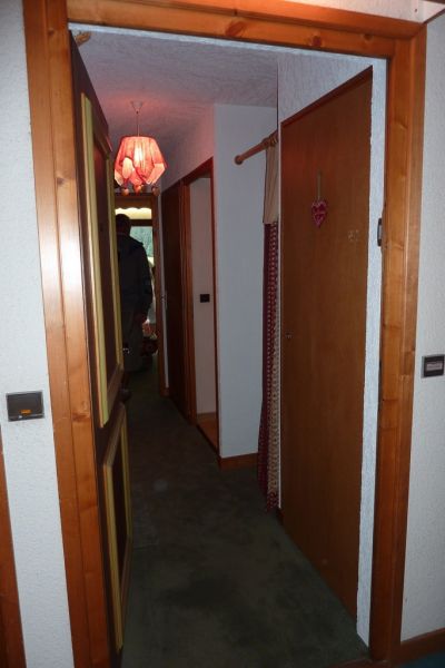 foto 3 Mietobjekt von Privatpersonen Praz sur Arly studio Rhne-Alpes Haute-Savoie Flur