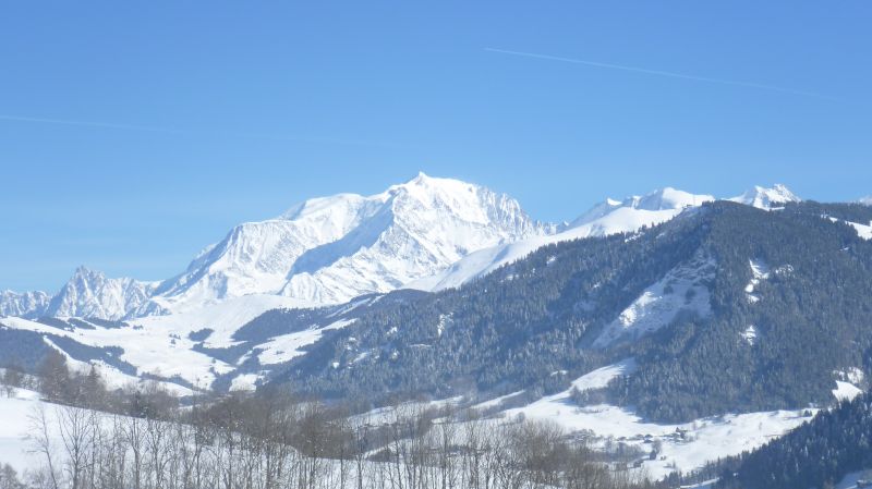 foto 19 Mietobjekt von Privatpersonen Praz sur Arly studio Rhne-Alpes Haute-Savoie Nahaufnahme