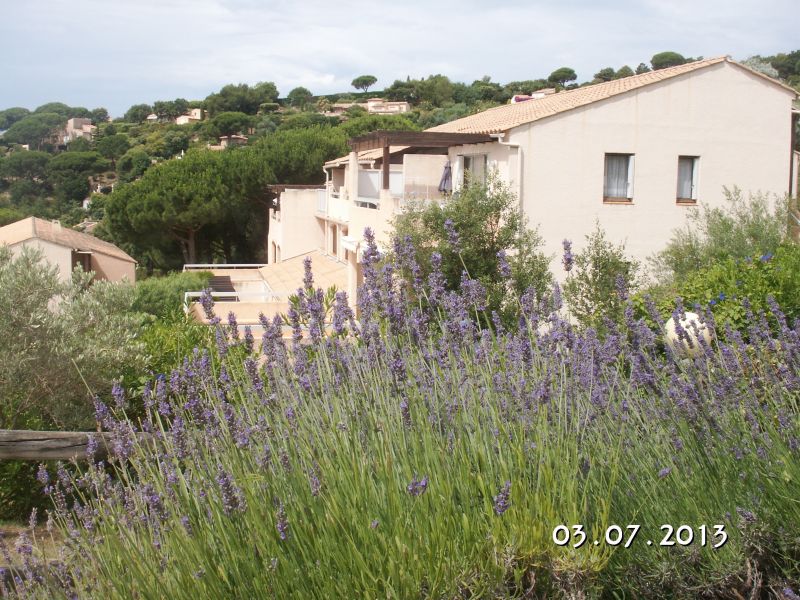 foto 15 Mietobjekt von Privatpersonen Sainte Maxime appartement Provence-Alpes-Cte d'Azur Var Ansicht des Objektes