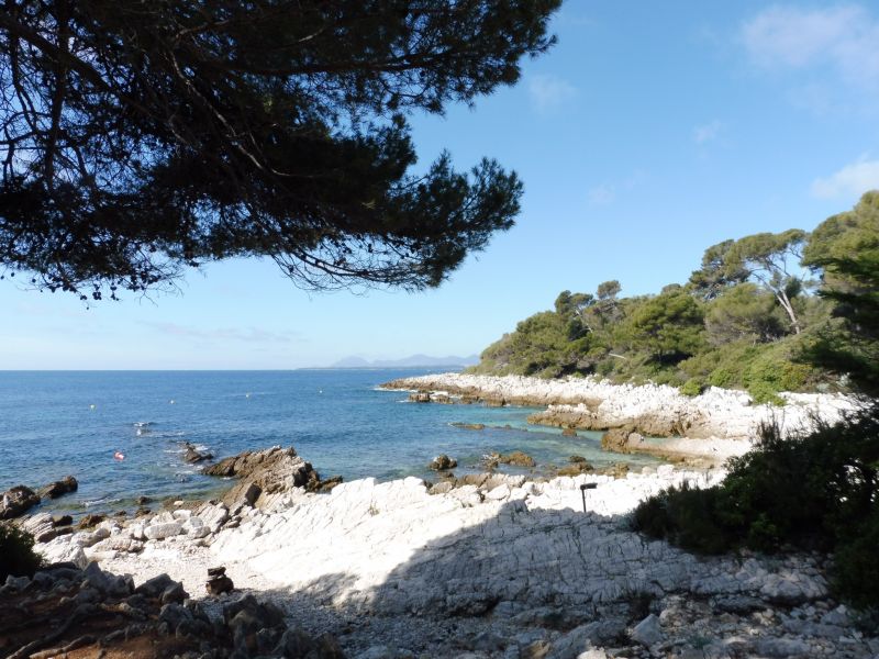 foto 25 Mietobjekt von Privatpersonen Antibes appartement Provence-Alpes-Cte d'Azur Alpes-Maritimes Nahaufnahme