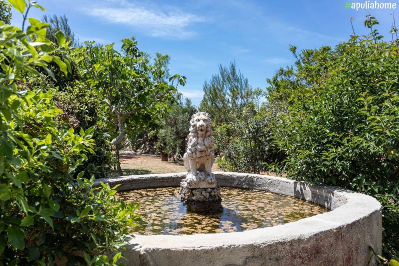 foto 7 Mietobjekt von Privatpersonen Torre Suda villa Apulien Lecce (+Umland) Garten
